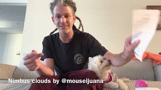 Florida Cannabis Review Trulieve Pink Cookies