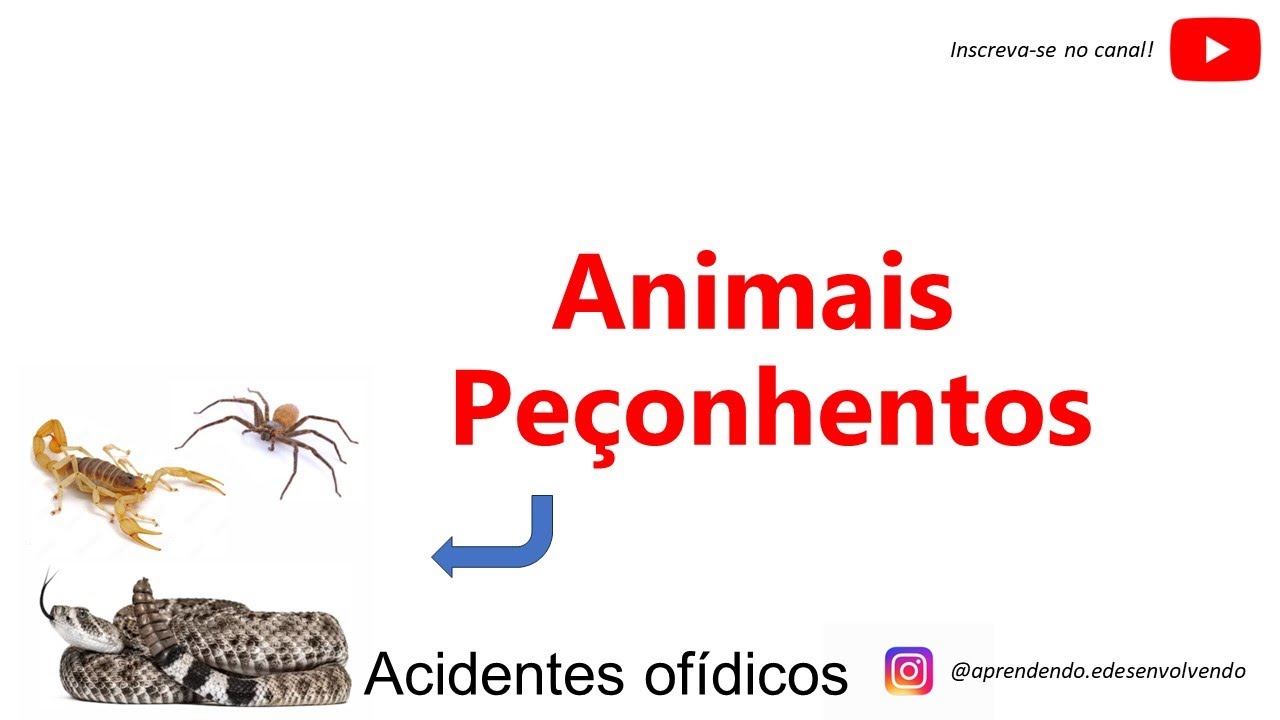 Animais Peçonhentos - Tudo o que você precisa saber! [ATUALIZADO]