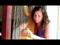 Rolling in the Deep - Harp & Cello 