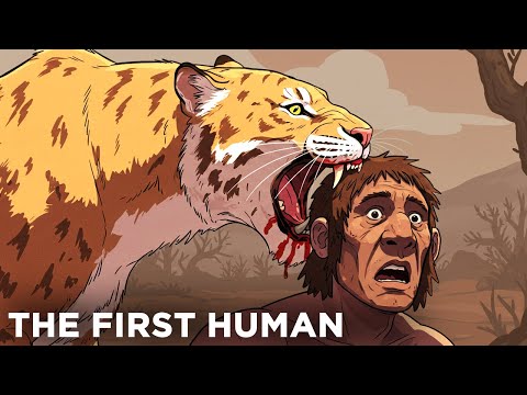 The Insane Evolution of Humans