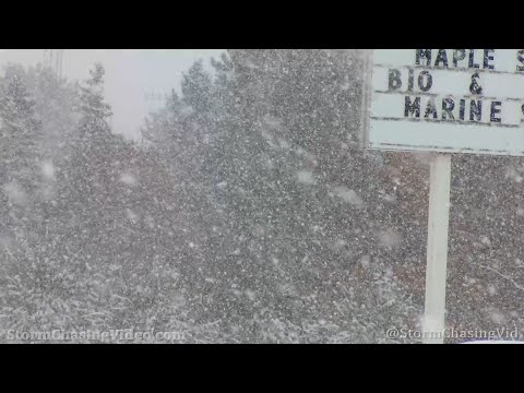 Winter Storm Hits Central Wisconsin - 2/4/2021