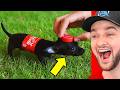 World S FUNNIEST YouTube Shorts