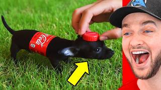 Download lagu World’s FUNNIEST YouTube Shorts! mp3 Download lagu World’s FUNNIEST YouTube Shorts! mp3