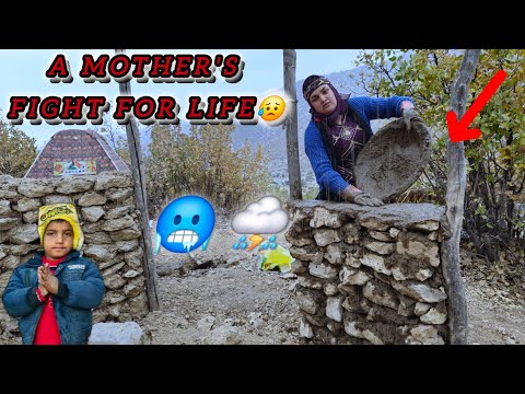 Homeless Mom Builds Shelter to Savefrom Wild Animals🐅