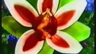 Lucilectric-Hey Süsser