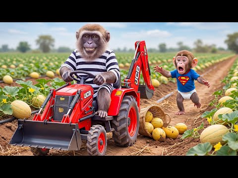Monkey iZi Discovers a Chimp Stealing the JCB – EPIC Chase