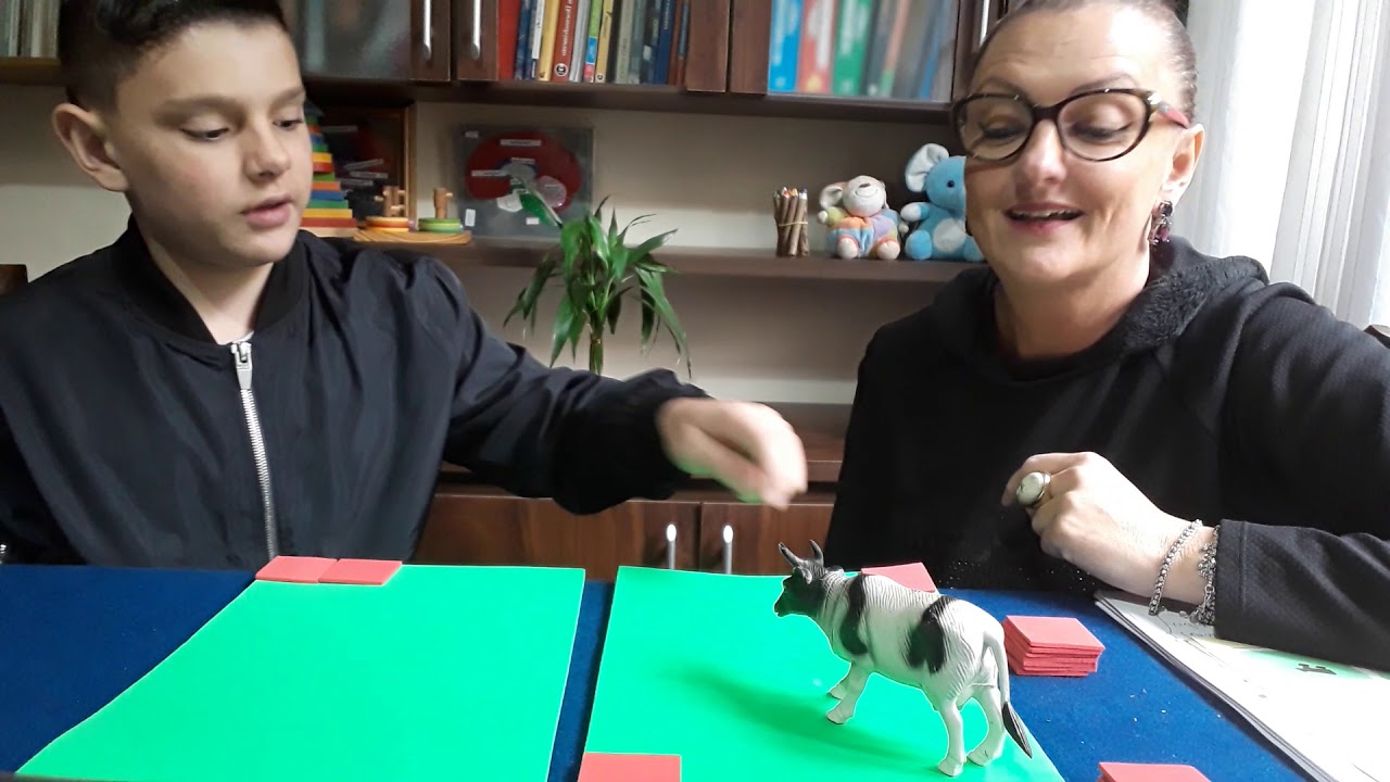 Prova piagetiana de conservação de superfície.