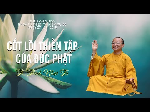 Cốt lõi thiền tập của đức Phật - TT. Thích Nhật Từ 