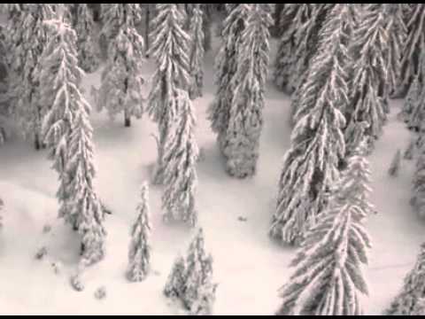 Stana de Vale - Muntii Apuseni