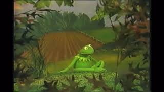 Kermit The Frog Sings It’s Not Easy Being Green