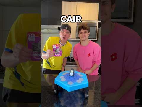 WHOEVER LET THE PENGUIN FALL… 😂