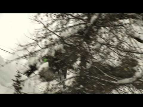 Aya Waska Feat Afu-Ra And Neena - Lion Of Jamski