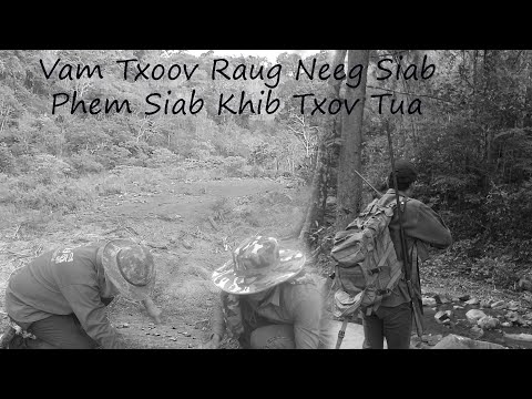 Jan 13, 2025 Hlob Vam Txoov Raug Neeg Phem Neeg Siab sib Khib Txov Tua