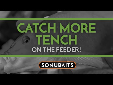 CATCH MORE TENCH on the Feeder!