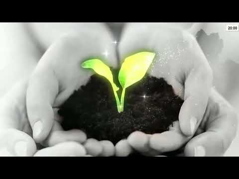 9. Die natürliche Wahrnehmung der Fruchtbarkeit im Lichte der Theologie des Leibes neu entdecken ...