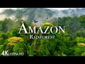 AMAZON 4K - THE WORLD’S LARGEST TROPICAL RAINFOREST PART 2 | JUNGLE SO ..