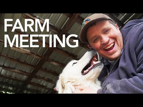 June Farm Meeting: New barn cats, cattle, hatching problems