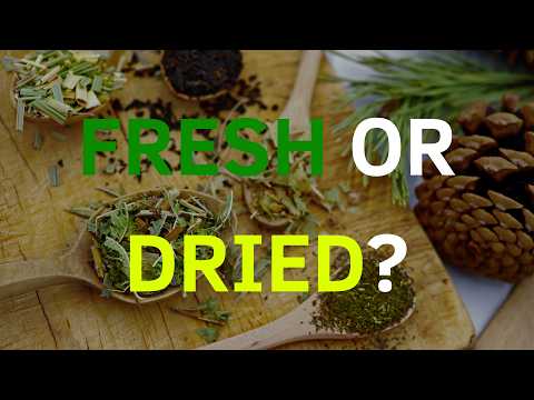 Fresh Herbs vs Dried Herbs | When Each One Wins
