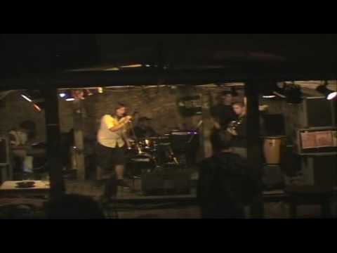 Transemotions - Domesticated by the Machines