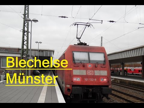 Blechelse am Morgen in Münster