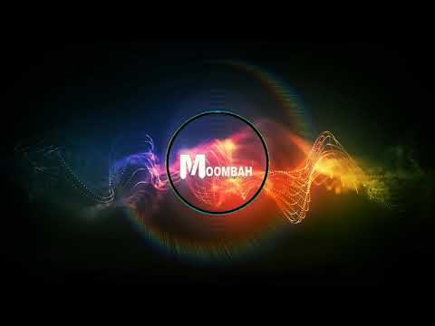 BIGG FRANKII & STNB BAM BAM (AVIS & MICA) TROPICAL