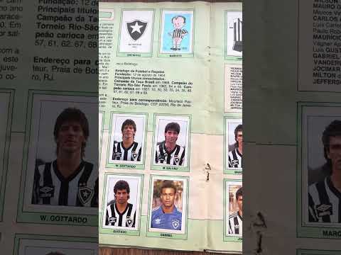 Álbum Campeonato Brasileiro 1989 - Completinho