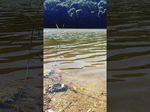 Du neida!#natureza #nature #moto#motorcycle #lander250 #lander #yamaha