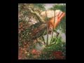 Death Metal Total Grand Ideas In One Album Foliaceous Angels Full Album Official