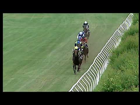 Napoli Galoppo 11/06/2021 - 2ª corsa