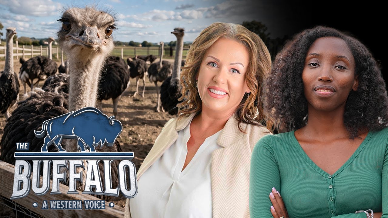 CBC releases ostrich doc, NDP caucus tension, Eby caves on DRIPA suspension | Buffalo Roundtable