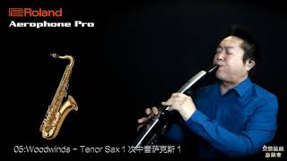 Video thumbnail for Roland Aerophone Pro AE-30 Scene Test-Tenor Sax by AnYi Papa