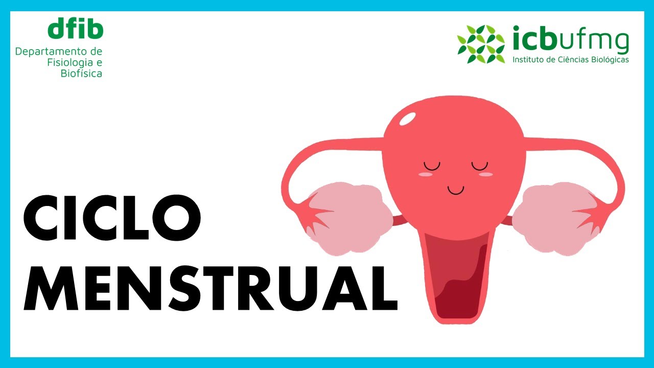 Ciclo Menstrual