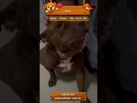Vídeo de Zara