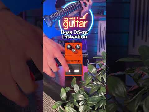 Overdrive vs Distortion | Boss DS-1 & SD-1 Comparison