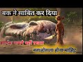Ice Age 3 Hindi Ice Age 3 Full Movie Last Fight