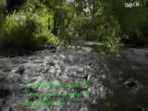 CHÔN VÙI TÂM SỰ  - TRƯỜNG VŨ & TRƯƠNG KIM HUỆ