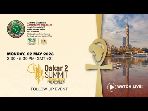 Frontier Africa Reports