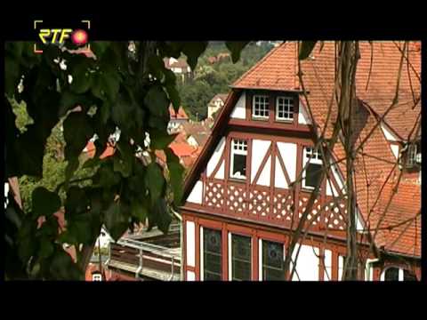 Neuer Wohnraum für Flüchtlinge – Stadtverwaltung Tübingen vergibt Bauplätze