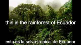 preview picture of video 'Fauna de la Amazonía Pastaza Ecuador'