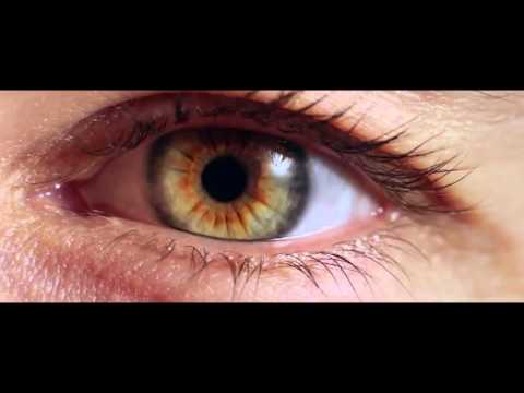 Dynaudio | "Xeo 2" | Upright Music