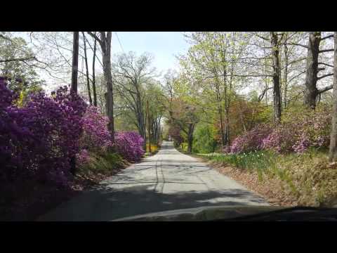 Flower road ...Shirley, Massachusetts