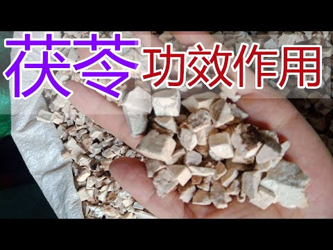 方望舒 莫茯苓
