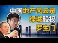 【中国商业史17】中国地产第一疑案，武斗抢公章，合同不盖章，兄弟不认账，融创躺中枪