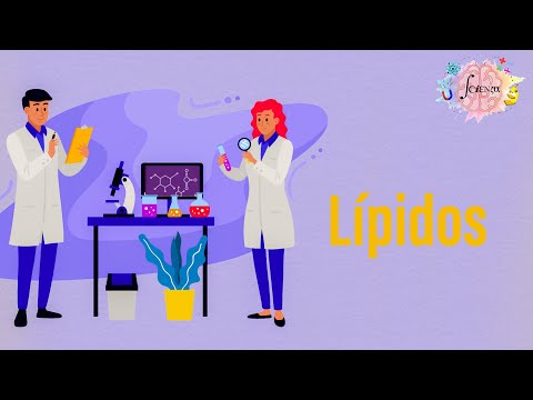 Lípidos: Aspectos generales y clasificación