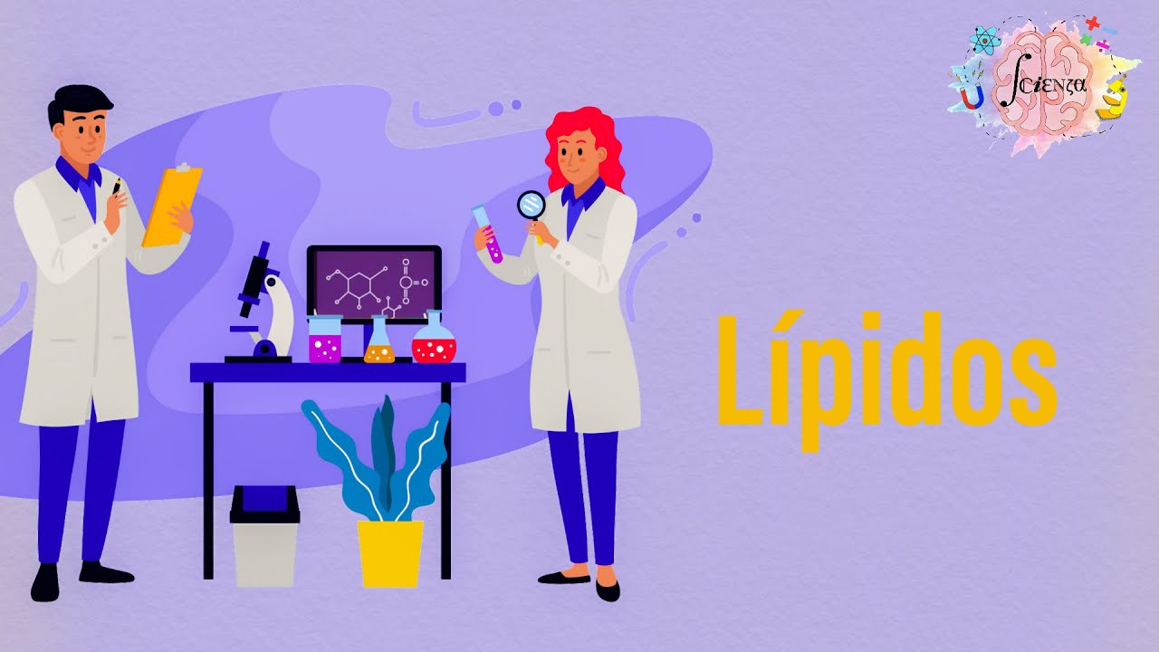 Lípidos: Aspectos generales y clasificación