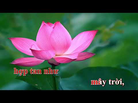 Thể hiện bởi Hiền Tịnh