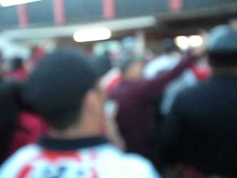 brapel / 351 virou festa xavante na baixada