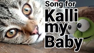 Kallimabebe - Song for a Kitten