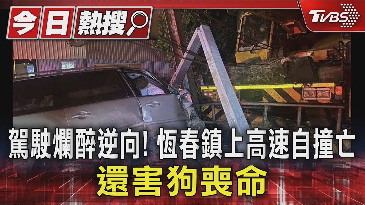 影音/駕駛爛醉逆向! 恆春鎮上高速自撞亡 還害狗喪命