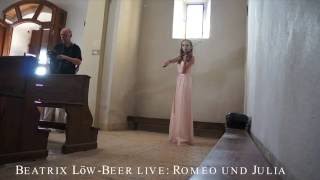 Violinshow - Klassik bis Charts